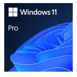 MICROSOFT – Microsoft Windows 11 Professional 64-bit, OEM DVD, Single Copy