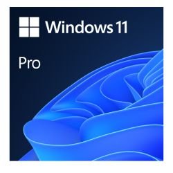 MICROSOFT - Microsoft Windows 11 Professional 64-bit, OEM DVD, Single Copy
